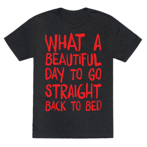 What A Beautiful Day To Go Straight Back To Bed T-Shirt