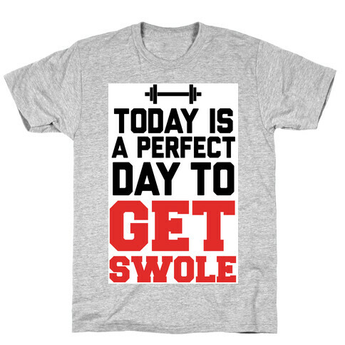 Today Is a Perfect Day to Get Swole T-Shirt