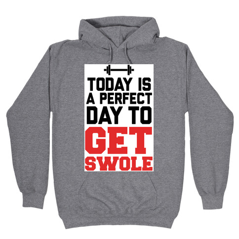Today Is a Perfect Day to Get Swole Hooded Sweatshirt
