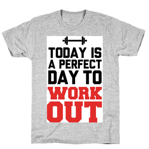 Today Is a Perfect Day to Work Out T-Shirt