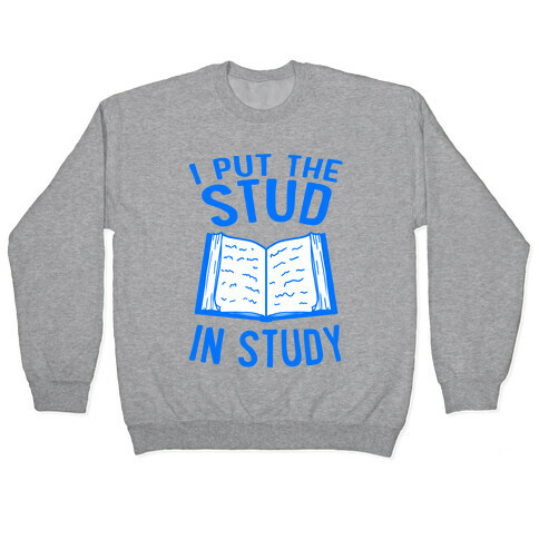 I Put the Stud In Study Pullover