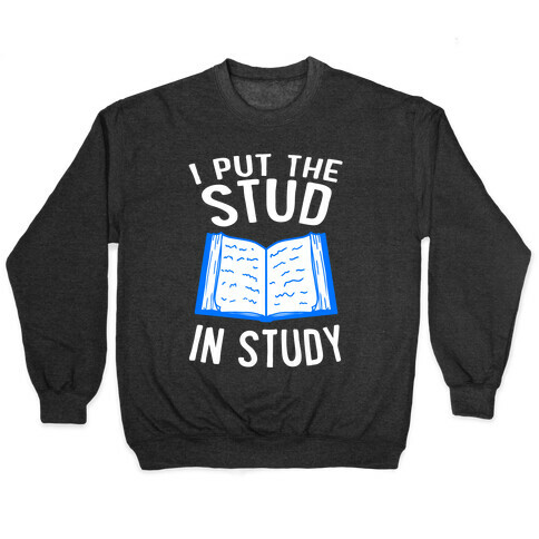 I Put the Stud In Study Pullover