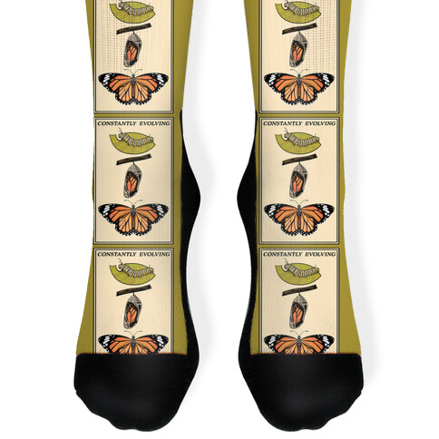 Constantly Evolving Monarch Butterfly Sock