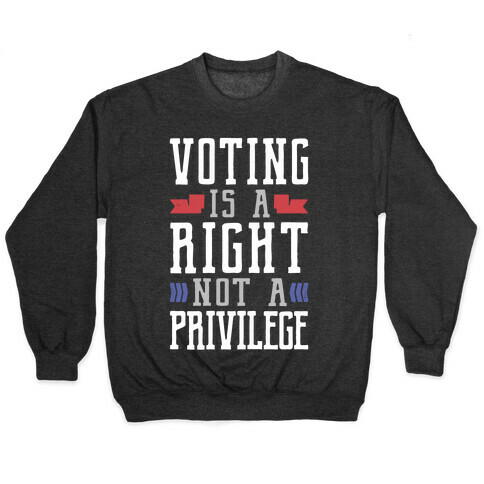 Voting Is A Right Not A Privilege Pullover