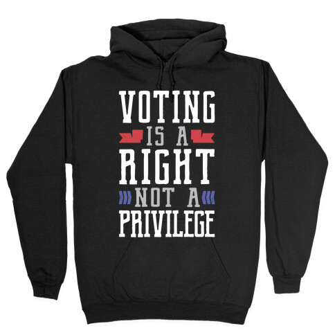Voting Is A Right Not A Privilege Hooded Sweatshirt