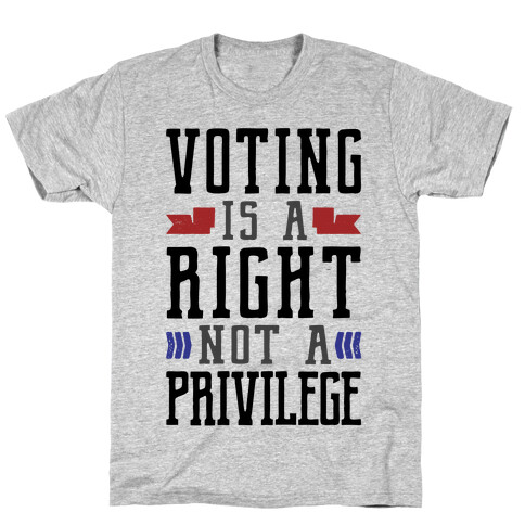 Voting Is A Right Not A Privilege T-Shirt