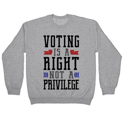 Voting Is A Right Not A Privilege Pullover