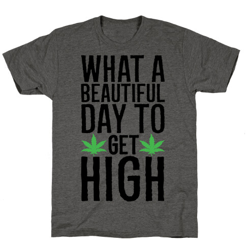 What A Beautiful Day To Get High T-Shirt