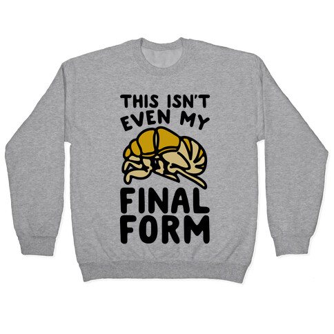 This Isn't Even My Final Form Cicada Parody Pullover