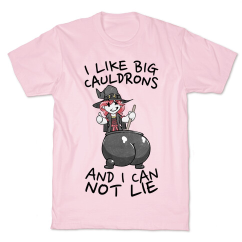 I Like Big Cauldrons And I Can Not Lie T-Shirt