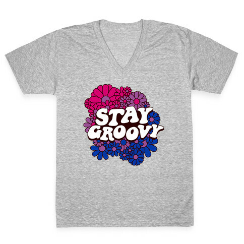 Stay Groovy (Bi Flag Colors) V-Neck Tee Shirt