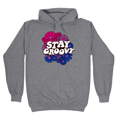 Stay Groovy (Bi Flag Colors) Hooded Sweatshirt