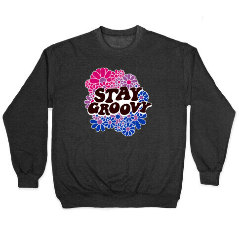 Stay Groovy (Bi Flag Colors) Pullover