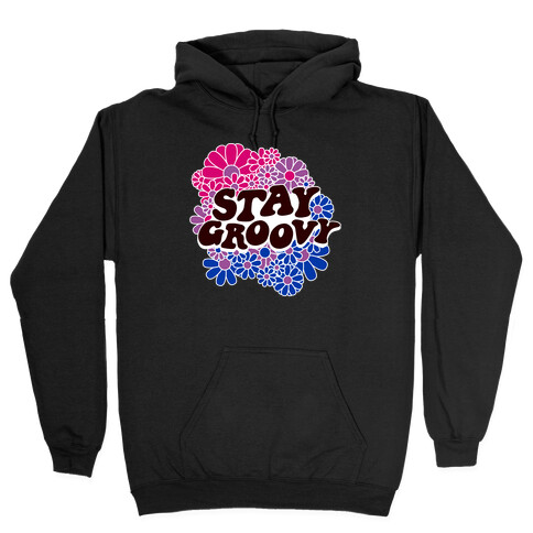 Stay Groovy (Bi Flag Colors) Hooded Sweatshirt