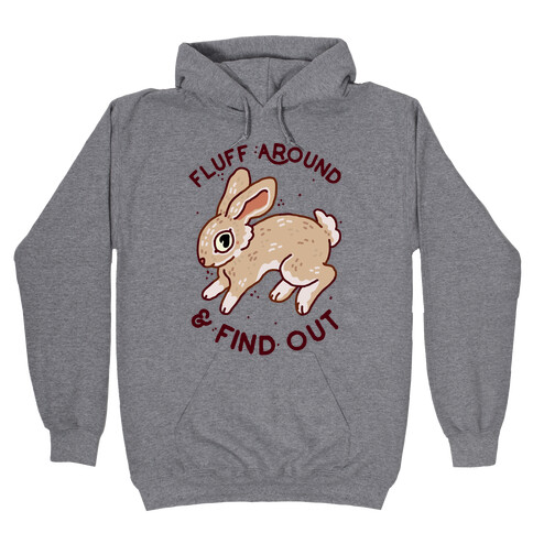 Fluff Around And Find Out Hooded Sweatshirt