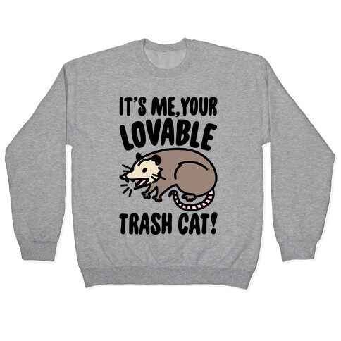It's Me Your Lovable Trash Cat Pullover