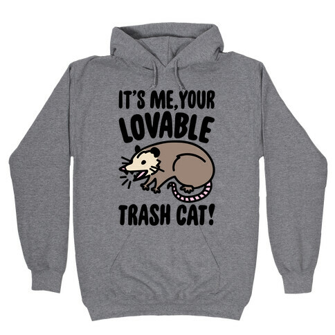 It's Me Your Lovable Trash Cat Hooded Sweatshirt