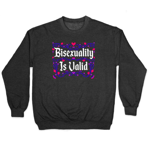 Bisexuality Is Valid Pullover