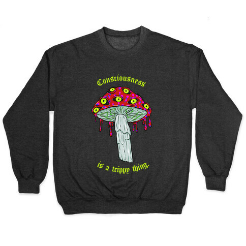 Consciousness Is A Trippy Thing  Pullover