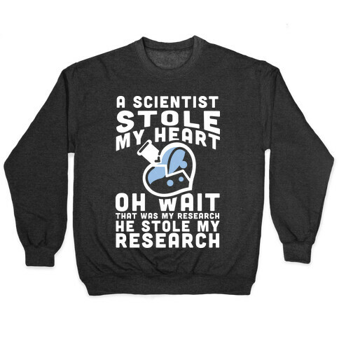 A Scientist Stole My Research Pullover