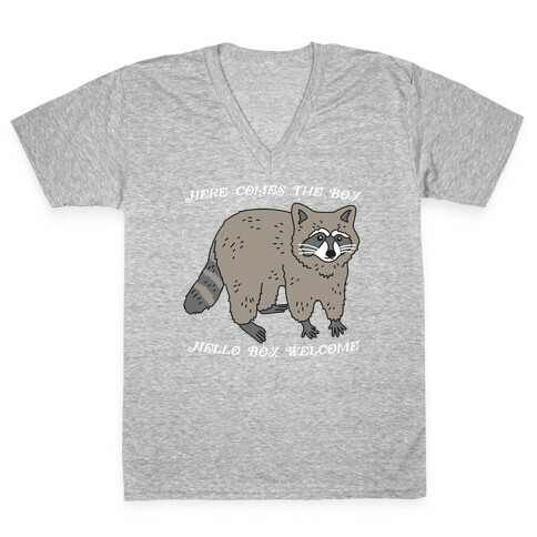 Here Comes The Boy, Hello Boy, Welcome - Raccoon V-Neck Tee Shirt