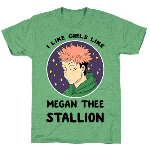 I Like Girls Like Megan Thee Stallion T-Shirt