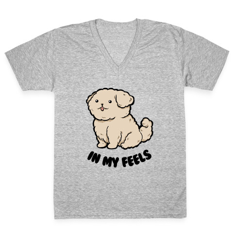 In My Feels V-Neck Tee Shirt