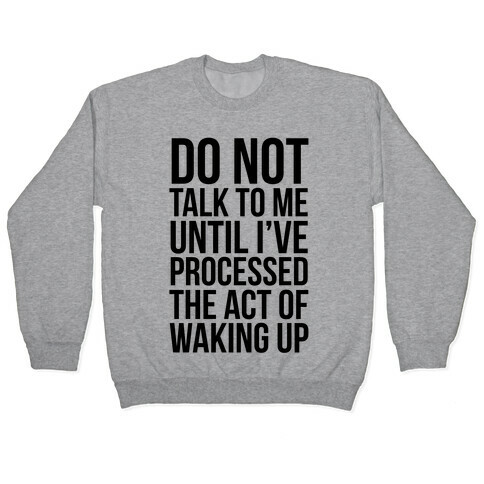 Do Not Talk To Me Until i've Processed The Act Of Waking Up Pullover