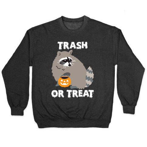 Trash Or Treat Raccoon Pullover