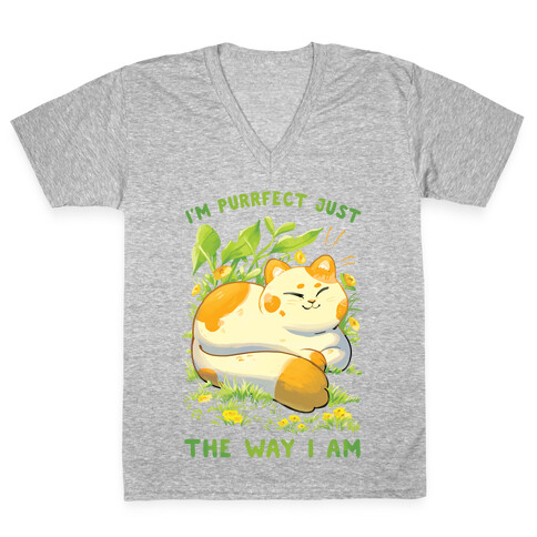 I'm Purrfect Just The Way I Am V-Neck Tee Shirt