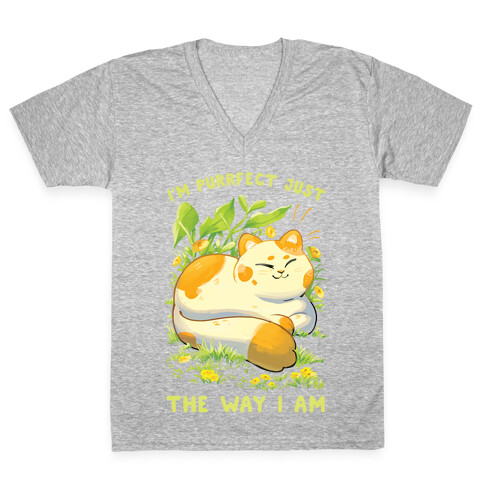 I'm Purrfect Just The Way I Am V-Neck Tee Shirt