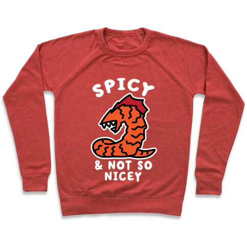 Spicy & Not So Nicey Pullover