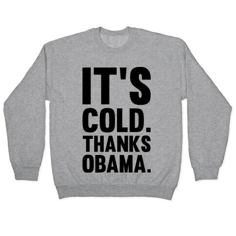 It's Cold. Thanks Obama. Pullover