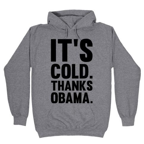 It's Cold. Thanks Obama. Hooded Sweatshirt