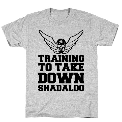 Training To Take Down Shadaloo T-Shirt