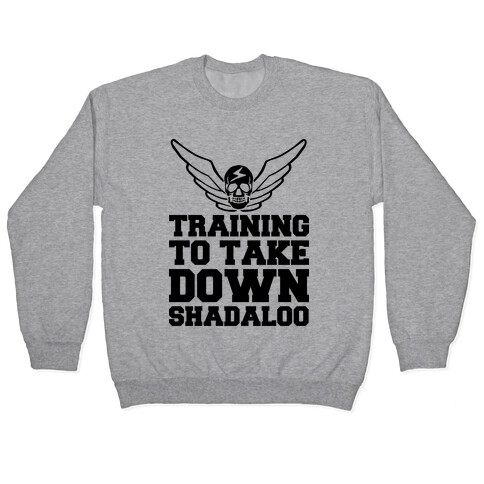 Training To Take Down Shadaloo Pullover