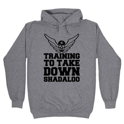 Training To Take Down Shadaloo Hooded Sweatshirt