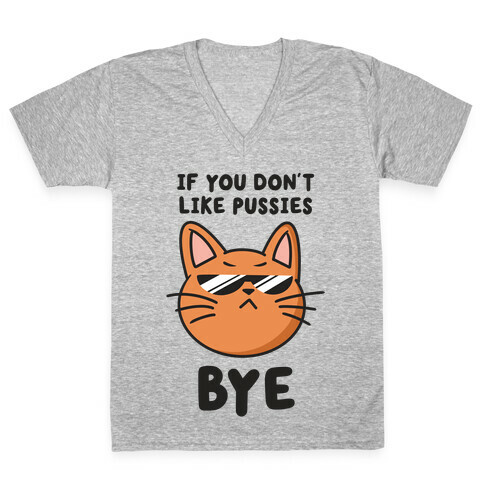 If You Don't Like Pussies, Bye V-Neck Tee Shirt