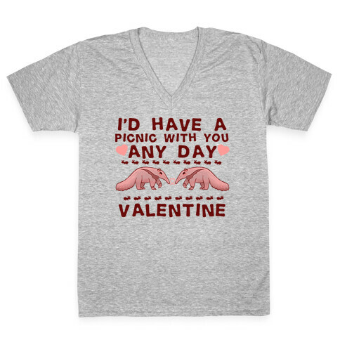 I'd Have A Picnic With You Any Day Valentine V-Neck Tee Shirt