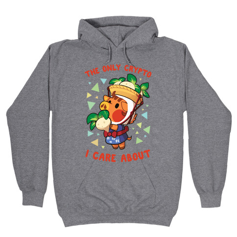 The Only Crypto I Care About Hooded Sweatshirt