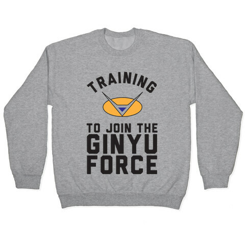 Training To Join The GInyu Force Pullover