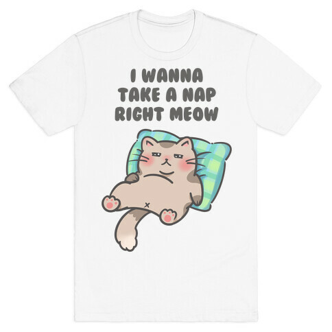 I Wanna Take A Nap Right Meow T-Shirt