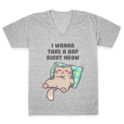 I Wanna Take A Nap Right Meow V-Neck Tee Shirt