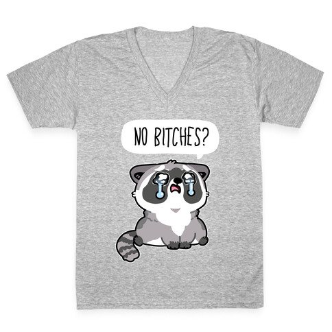 No Bitches? V-Neck Tee Shirt