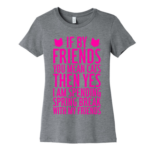 Spring Break With Friends Womens T-Shirt