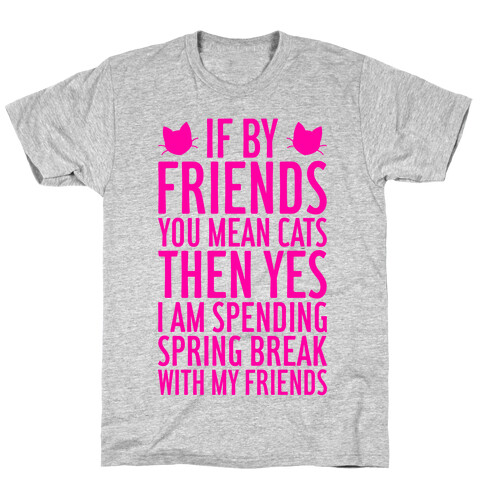 Spring Break With Friends T-Shirt
