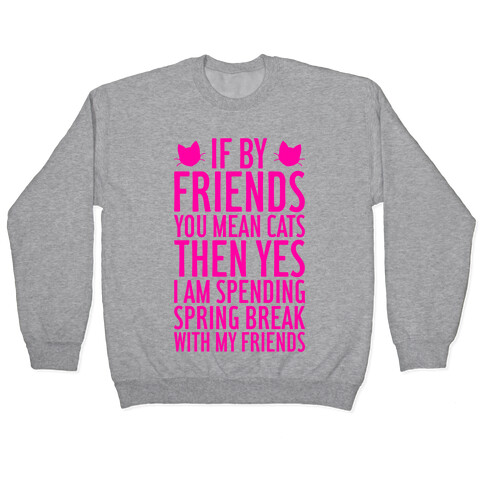 Spring Break With Friends Pullover