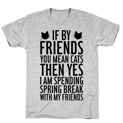 Spring Break With Friends T-Shirt