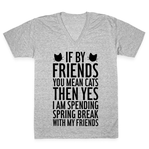 Spring Break With Friends V-Neck Tee Shirt