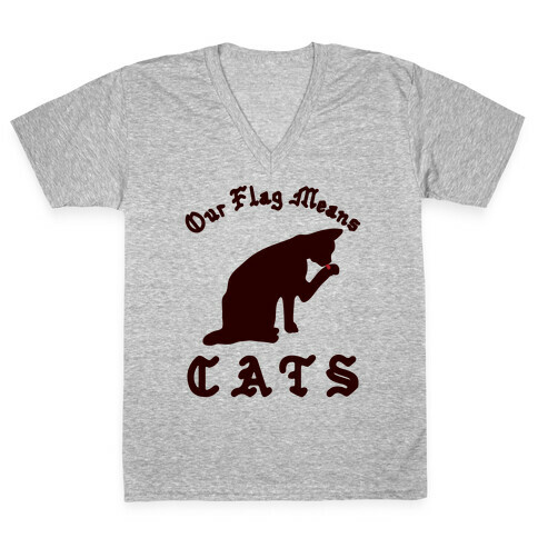 Our Flag Means Cats  V-Neck Tee Shirt